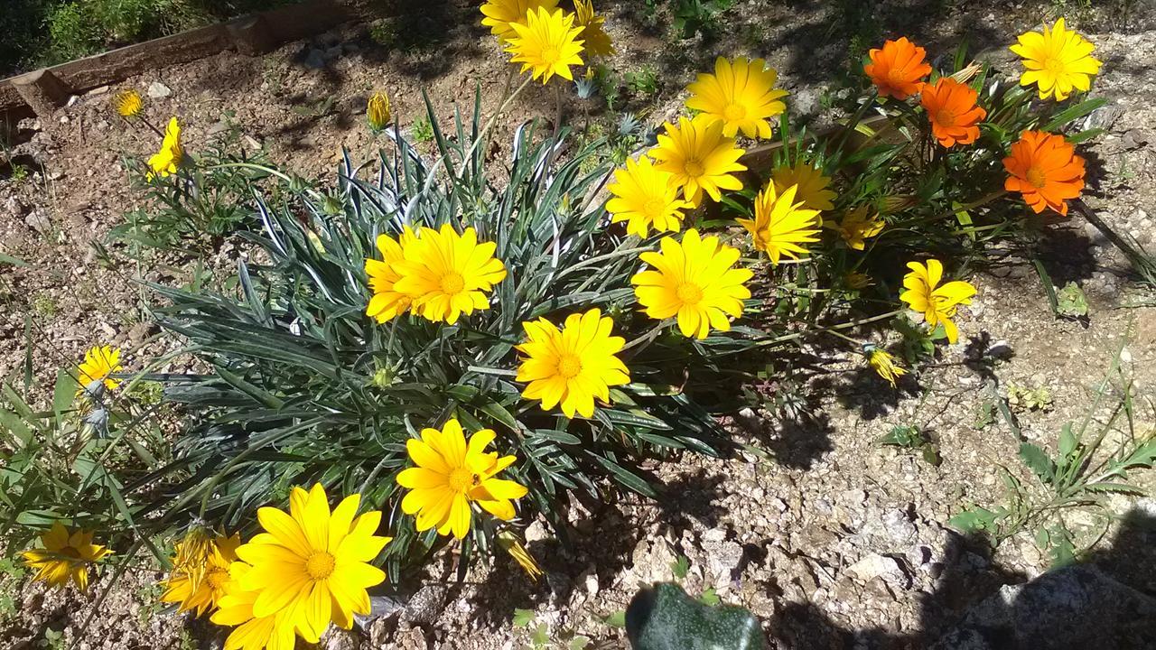 Villa La Croisette Sainte-Maxime Buitenkant foto